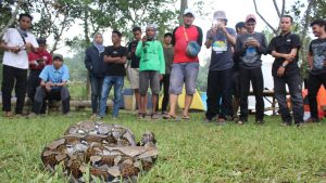 Materi 'Snake Handling' di Acara Uji Nyali Tebing Gunung Parang | Foto: Rara Ar Rayyan