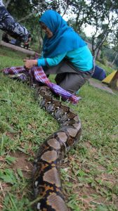 Materi 'Snake Handling' di Acara Uji Nyali Tebing Gunung Parang | Foto: Rara Ar Rayyan/KedaiPena.Com